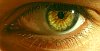 Green eyes Yeux verts