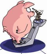 Indispensable balance www.pinkpigpage.com