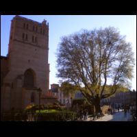8-Toulouse-Micocoulier-Cathedrale.jpg