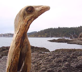 Totem Archeopterix Friday Harbor