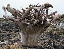 Totem flower basket Corpet Friday Harbor
