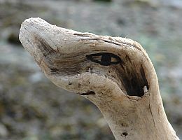 Totem Smiling surricate Friday Harbor