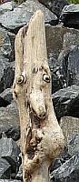 Totem wooden man   Friday Harbor
