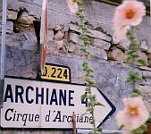 Archiane D224