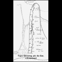 05-Topo-Achard-Ginseng.gif