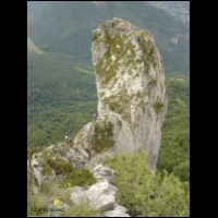 50-arete-sortie-Ginseng.jpg
