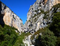 77Verdon-ala-recerche-de-Tricrotale.JPG