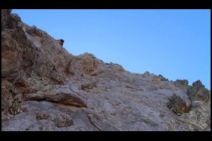 11h28-L11-Denis-revient-a-G-dsla-voie.jpg