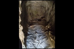 J1.12h45-Logis-propre-et-sec.jpg