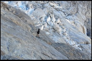J1.15h00-Carine-aux-terrasses-de-l.attaque.jpg