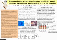 AACR Left processed meat ham cancer