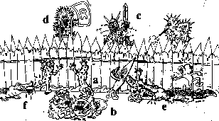 Barrière microbiologique, pathogènes et antibiotiques