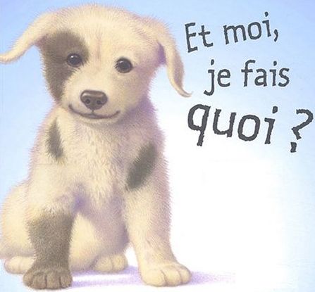 et moi je fais quoi