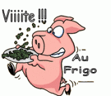 Porc Vite au Frigo