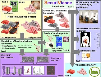 SecuriViande-ANR-ALIA-Project