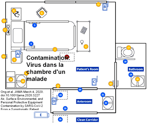 Virus-contamination Ong