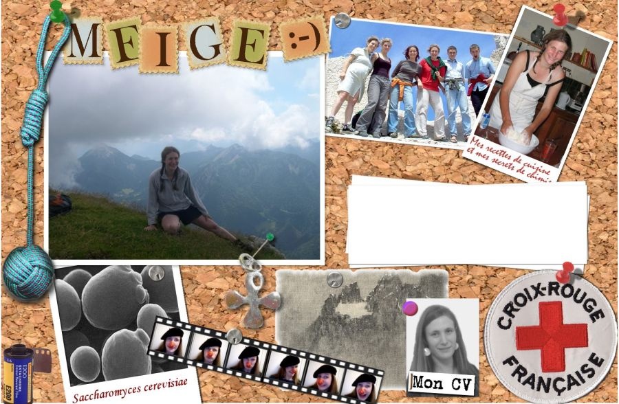 Site de Meige Corpet