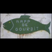 26-Poisson-AAPP-Gourbit.jpg