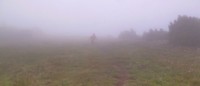 57-Down-in-the-mist-8h45.jpg
