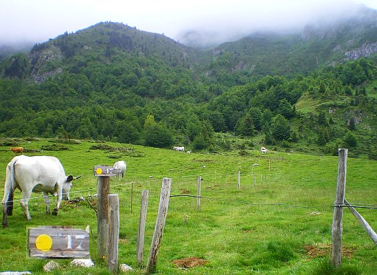 pic Girantes photo Mont-Ceint