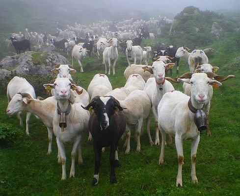 pic Girantes photo Mont-Ceint