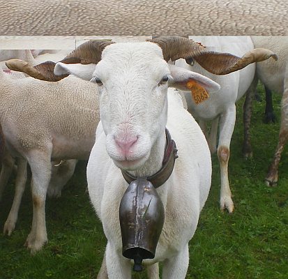 pic Girantes photo Mont-Ceint