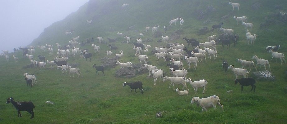 pic Girantes photo Mont-Ceint