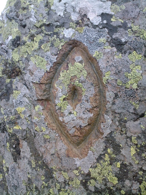 Journalade vulve gravée