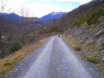 route forestière retour