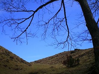 sortie sur alpage Paloumere photo