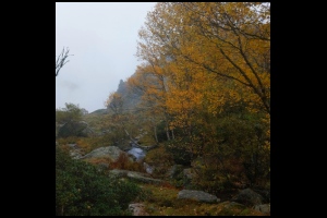 13h08-Pas-nostalgie-des-canicules.jpg