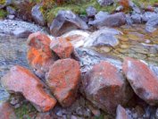 17h-Riberot-rocher-orange-lichen.jpg