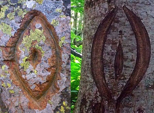 2 vulves gravées Journalade + étang Bleu