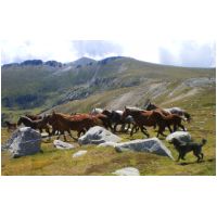 30-Chevaux-passes-Ouf.jpg