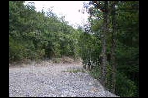 03-Route-forestiere-sur-St.H-12h39.jpg