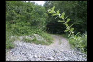 08-Pas-de-la-Branche-13h01.jpg