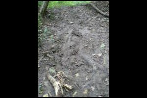 11-Pas-de-la-Branche-13h05.jpg