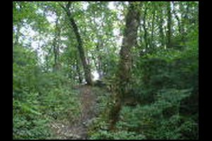 12-Colu-120m-Nord-Chatelard-1h11.jpg