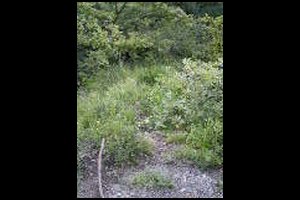 14-Monter-raide-eperon-13h16.jpg