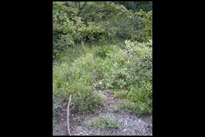 14-Monter-raide-et-sec-eperon-13h16.jpg
