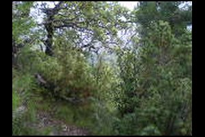 17-Pas-de-la-Branche-13h20.jpg