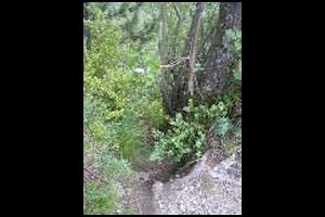 18-sentier-raide-debouche-belvedere.jpg