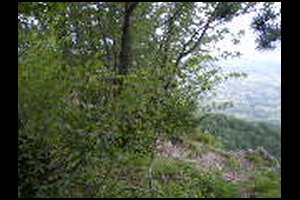 21-Borne-6-bis-Belvedere-13h25.jpg