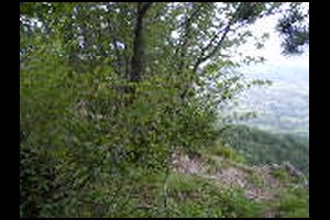 21-Borne-6-bis-Belvedere-780m-13h25.jpg