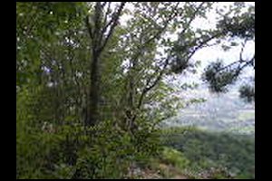 22-Belvedere-780m-borne-6-bis-13h26.jpg