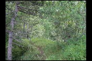 23-Prendre-crete-horiz-plein-Nord-13h27.jpg