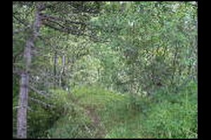 23-crete-plein-Nord-13h27.jpg