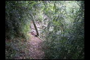 25-Pas-de-la-Branche-13h31.jpg