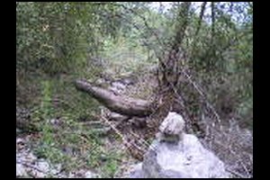 26-Zone-avalanche-eboulis-13h32.jpg