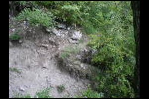 27-Pas-delicat-13h36.jpg